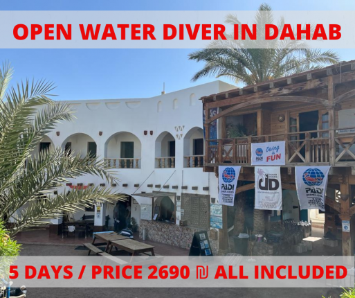 Diving Course in Dahab, Sinai