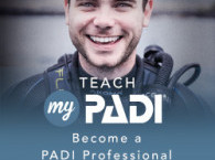PADI Scuba Diving Instrutor Course in Eilat