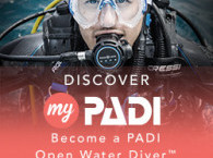 PADI Scuba Diving courses in Eilat