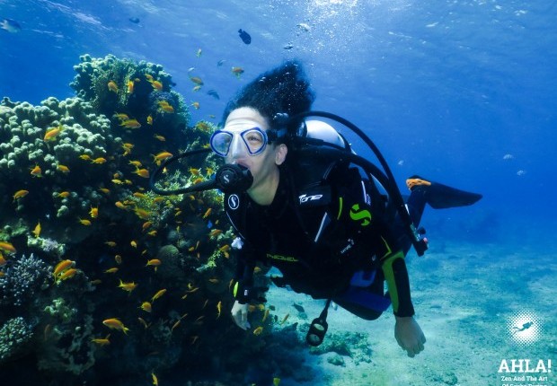 diving for beginners in eilat red sea