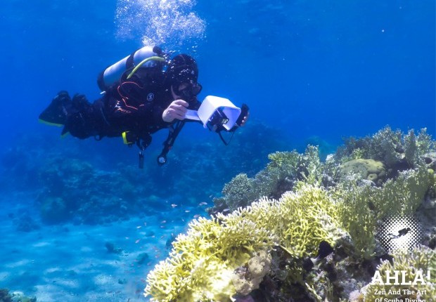 underwater photographer diving course in eilat