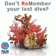 ReActivate: Get your scuba buddy back!