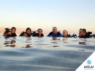 дайвинг и сноркелинг в Эйлате_diving and snorkeling in Eilat