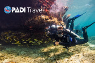 Sign up for a PADI Discover Scuba Diving experience