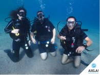 Diving tips for beginners and professionals