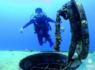 open water diving_צלילה במים פתוחים_обучение дайвингу на красном море