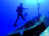 underwater scuba diving_צלילה מתחת למים_подводное плавание в эйлате