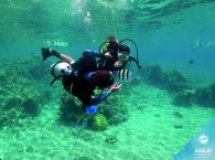scuba diving beginners_למתחילים צלילה_дайвинг информация для новичков