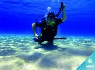 scuba diving information for beginners_ מידע צלילה למתחילים_информация о дайвинге для новичков