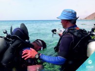 scuba diving with contacts_צלילה עם אנשי קשר_дайвинг в израиле контакты