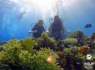 learn scuba diving_учить дайвинг_ ללמוד צלילה
