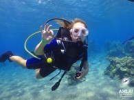 red sea diving holidays_красное море дайвинг каникулы_red sea diving holidays
