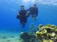 red sea diving packages_красное море путевка_חבילות צלילה בים האדום