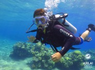 scuba diving information_дайвинг информация_מידע צלילה
