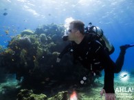 coral reef in eilat scuba diving