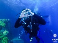 scuba diving with instructor for beginners red sea eilat