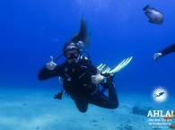 cheap diving holidays red sea eilat israel
