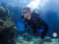 scuba diving trips red sea