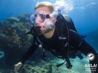 scuba diving trips eilat