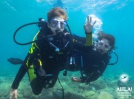 scuba diving with kids eilat red sea