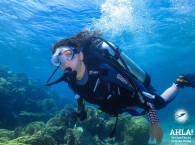scuba diving trips israel