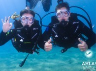 scuba diving holidays in eilat red sea