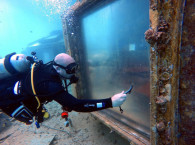 Underwater Restaraunt