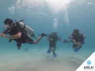 погружение с курсом Open Water Diver на дайв-сайте Эйлата - Nature Reserve