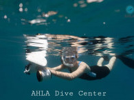 guided dive in Eilat for certified divers