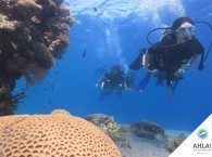 дайвинг сафари на Красном море_diving safari on Red Sea