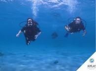 лучшие страны для обучения дайвингу_best diving countries to learn scuba diving