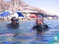 обучение дайвингу в Израиле_сертификат PADI_learn to scuba diving in Israel_certificate PADI.jpg