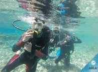 первые погружения на курсе OW_first dives in course Open Water Diver.jpg