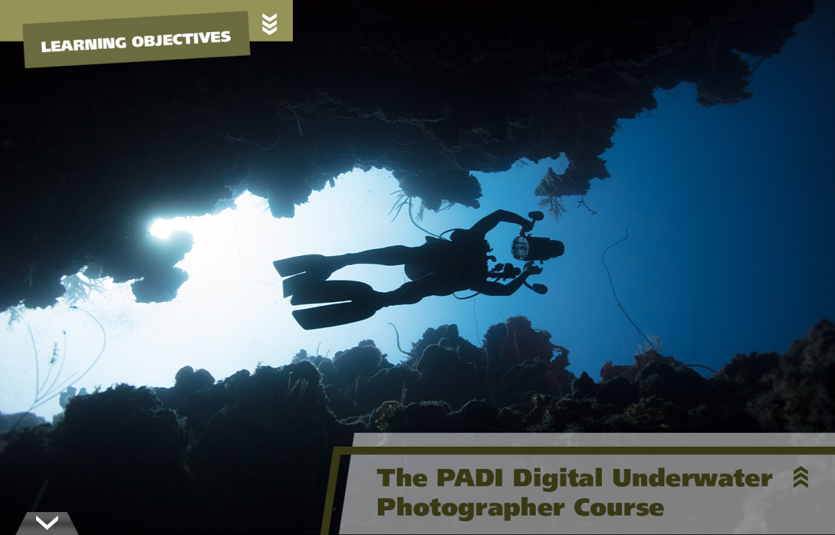 PADI Underwater Photographer Specialty course - קורס צילום תת יםי