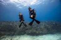 התמחות איזון מתקדם באילת_ perfect buoyancy padi diving course